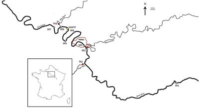 Assessing CeO2 and TiO2 Nanoparticle Concentrations in the Seine River and Its Tributaries Near Paris